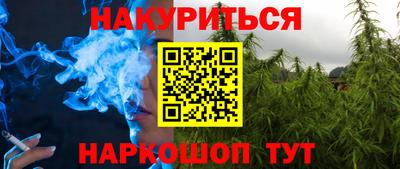 дмт Гатчина
