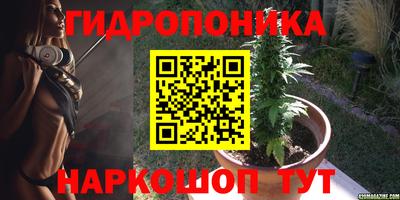 дмт Гатчина