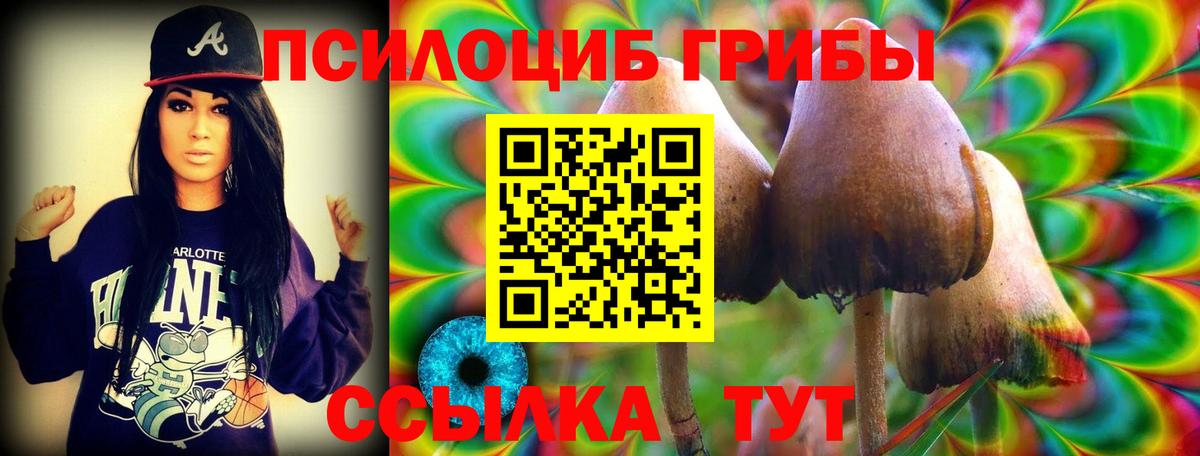 Ноябрьск  Галлюциногенные грибы MAGIC MUSHROOMS  Псилоцибиновые грибы Psilocybine cubensis  Вход с VPN 